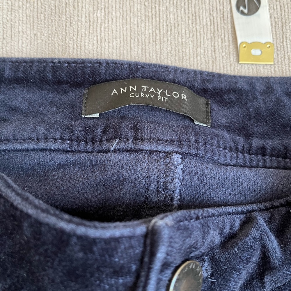 Ann Taylor Navy velvety Skinny Pants - Picture 4 of 5
